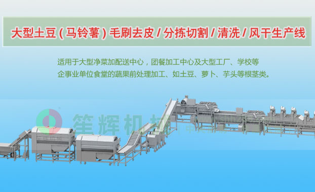 北塘连续式土豆去皮清洗切割风干生产线